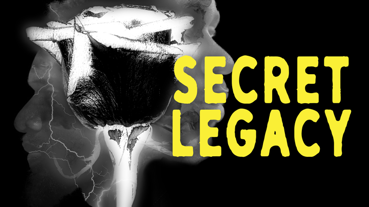 SECRET LEGACY: a ⚡️THUNDERFANG novella